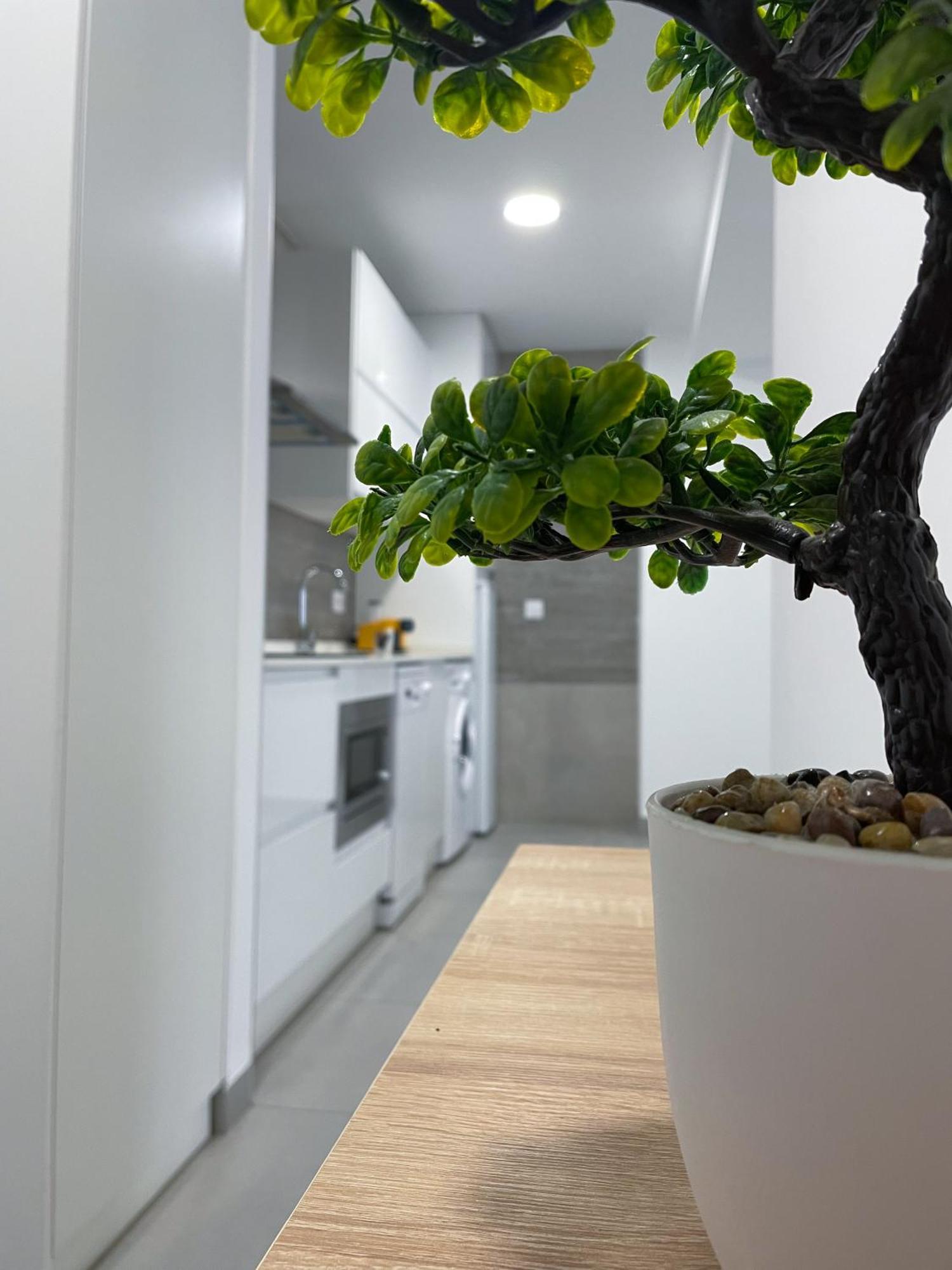 Apartamentos Lusitania Parking Gratis Bajo Disponibilidad Mérida Buitenkant foto